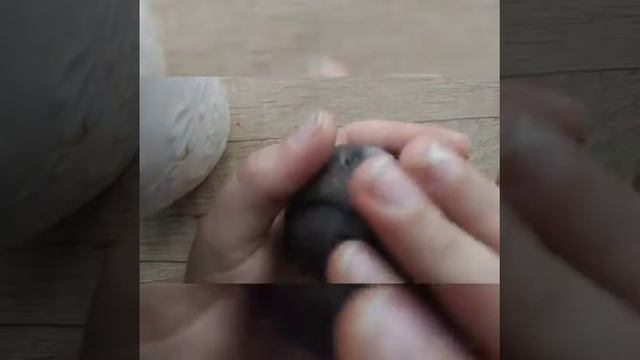 Как быстро и легко приручить хомяка (за 5 мин.) смотреть онлайн