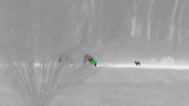 AGM Global Vision Thermal monocular Asp-Micro TM160. Short range thermal imaging monocular смотреть онлайн