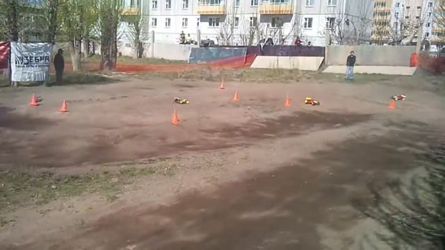 кубок ЗЕБРЫ смотреть онлайн