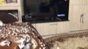 Пять Ночей с фрогги Самая￼ Страшная￼ Песня￼ Перевод￼￼