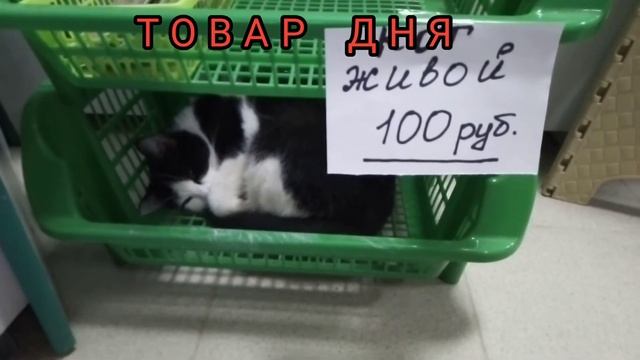 Товар дня смотреть онлайн