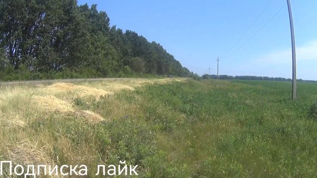 коп металла в доль дороги, #коп2023 #металлокоп #зароботок #копметалла #копуреки #копмонет