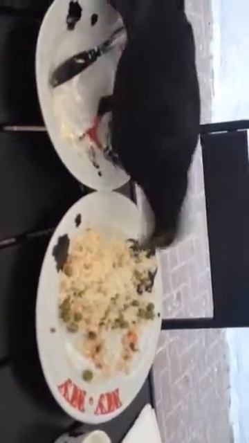 голубиный обед смотреть онлайн