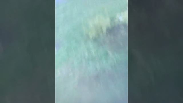 Ура шалаш!!!!!!!!!!!!!! смотреть онлайн