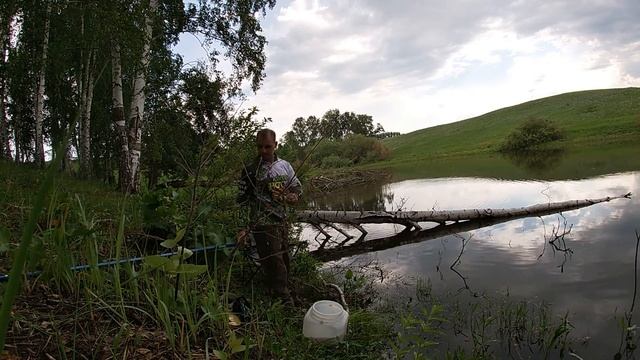 Ловля КАРАСЯ на пруду. Бешеный КЛЁВ карася!!! Бойлы, опарышь, атрактант, дождевой червь? Рыбалка2020 смотреть онлайн