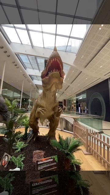 CERATOSAURUS #asmr #likeandshare #satisfying #trending #viral #animalkingdom #learning смотреть онлайн