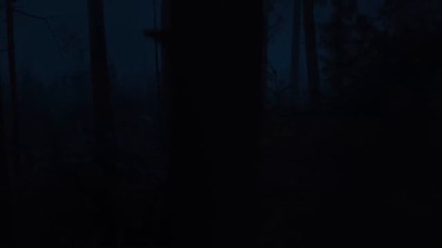 you aren't awake; you are in a lucid dream смотреть онлайн