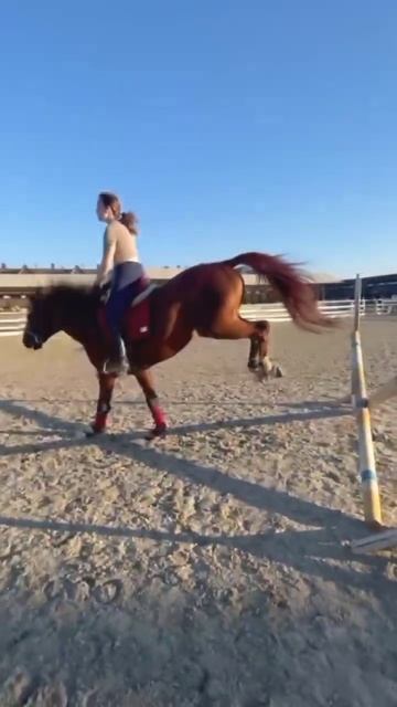 +вайб#конь#remix#vibes#music#horsejumping#прощание#spedup #лошади#equestrian #pony#dance#riding смотреть онлайн