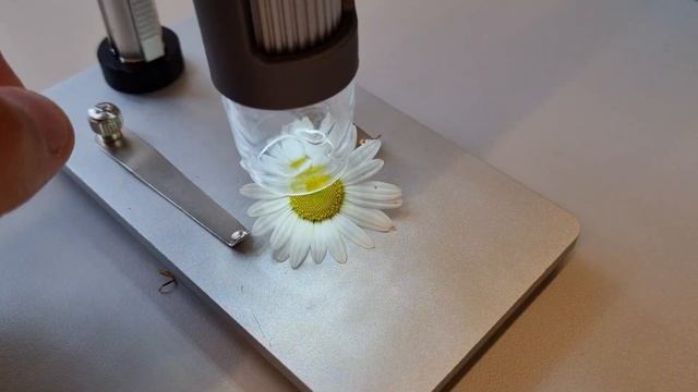 Summer CAMP 2023 - Day 4 смотреть онлайн