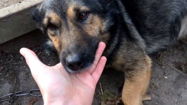 Милые домашние вредители смотреть онлайн