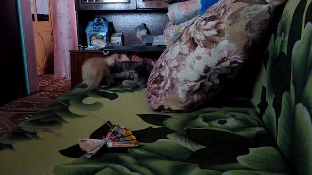 Сима и Саймон 2 смотреть онлайн