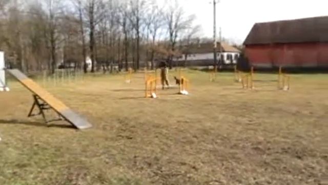 160214 Koala 2 смотреть онлайн