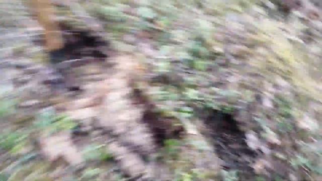 Копаю ж/д металл а рядом зайцы бегают. смотреть онлайн