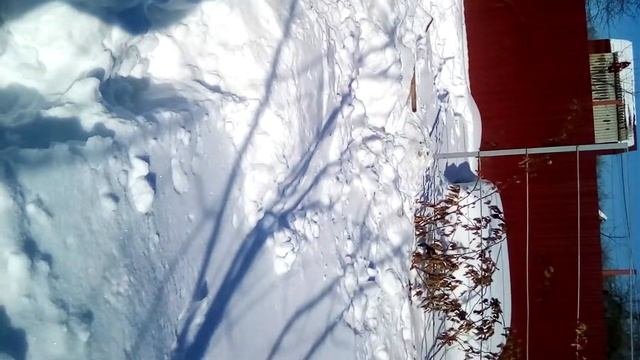 Снежный человек смотреть онлайн