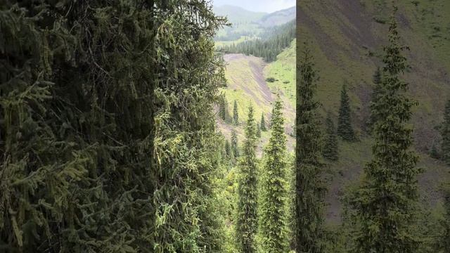 Поездка в Казахстан часть 4 посетили озера Каинды, Кольсай и Чарынский каньон / www.medbka.ru смотреть онлайн