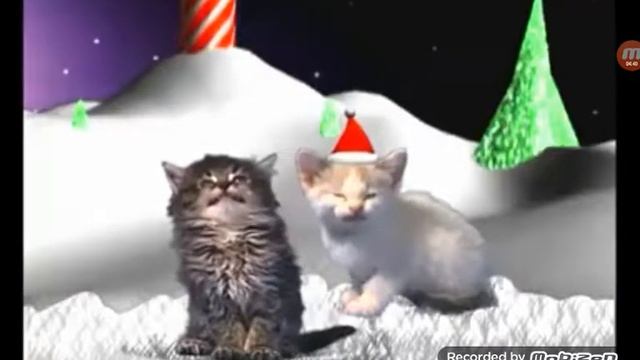пісня котів смотреть онлайн