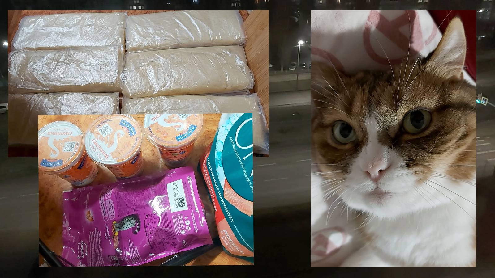 Доставка для кошки))) Опять запасы теста))) Соскучилась по работе, вдохновенье вернулось! смотреть онлайн