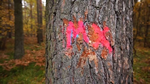 VLOG / ДОВЕЛИ ДО СЛЕЗ / СМОТРЕТЬ ДО КОНЦА смотреть онлайн