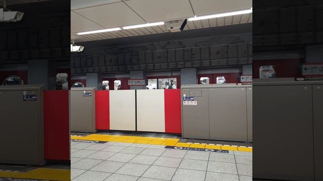 Лариса Чепенко