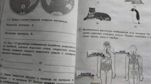 ВПР Окружающий мир 4 класс, 2025 год, вариант 2 из 25