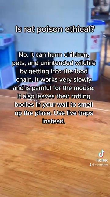 Rat poison is definitely NOT ethical смотреть онлайн