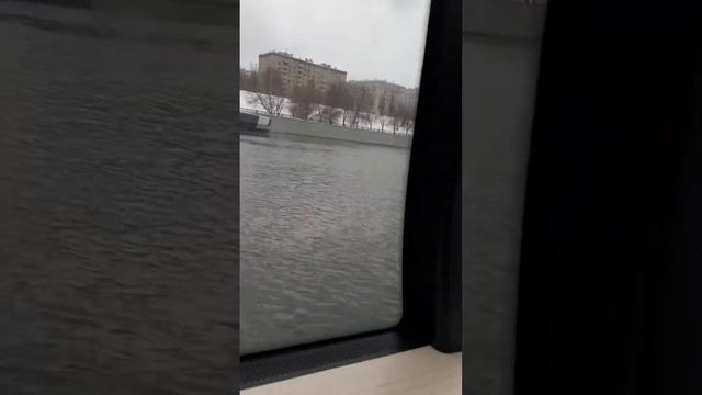 Хожу в шапке СКА 3 дня (день 3) + Москва (Ленинградский)🇷🇺-Санкт Петербург (Главн.) смотреть онлайн