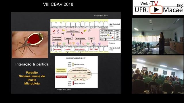 CBAV - Interação tripartida: Inseto vetor, parasito e microbiota (parte 1) смотреть онлайн
