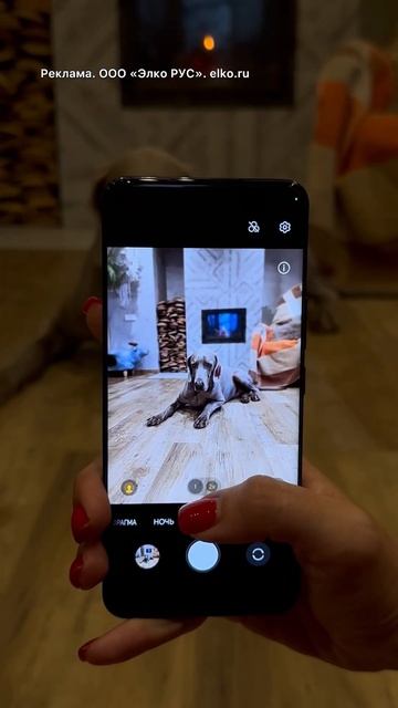 Собаки и енот Тема устроили погром на кухне😱 смотреть онлайн