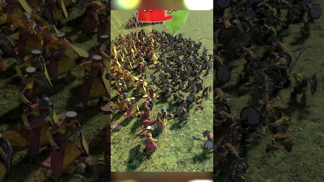 Кто круче в Total War Warhammer III? Ополченцы со щитами или Гоблины? #totalwarwarhammer3