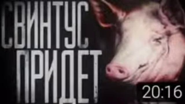 Свинтус придёт смотреть онлайн