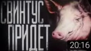 Свинтус придёт