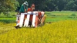 kubota l1 26 and kubota  cambine harvester r1 301