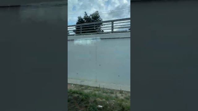 (7) Поездка на Иволге ЭГ2Тв смотреть онлайн