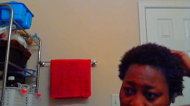 Using My Topstyler by Instyler on Natural 4a/4b/4c Hair - Step One Shampoo & Deep Conditioning смотреть онлайн