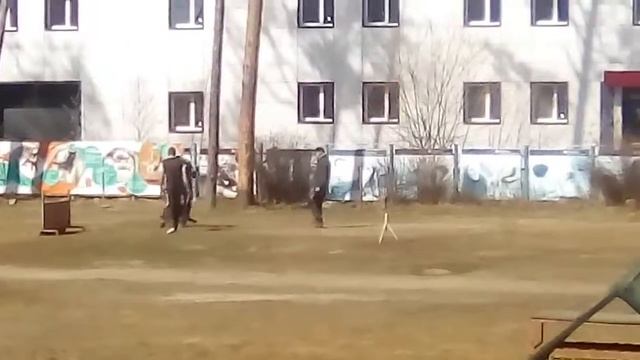 Шоу собак смотреть онлайн