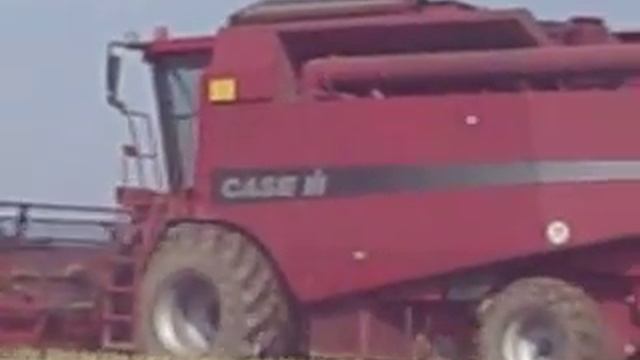 CASE IH  CF80
