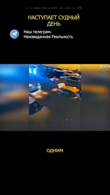 Наступает судный день смотреть онлайн