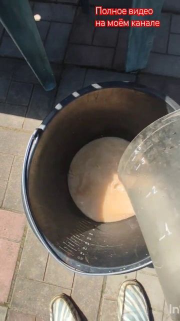 Паутинный клещ и мучнистая роса - боремся  одновременно