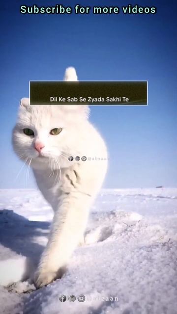 hamare nabiﷺ ke bare mein kuchh😌 baten💯💖 | peer ajmal raza qadri status | #shorts #allah #status смотреть онлайн