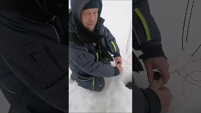 Февральская рыбалка