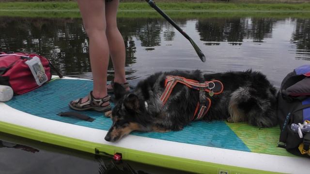 Übers Wasser laufen - SUP-Board-Trekking mit Hund und Hausstand auf der Loire - Foto-Clip zum Buch смотреть онлайн