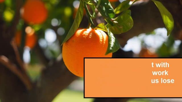 Best Fruits to Eat to Lose Weight - List of fruits for Weight Loss смотреть онлайн