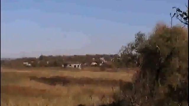 Сойки смотреть онлайн