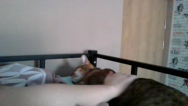 Феня❤❤ смотреть онлайн