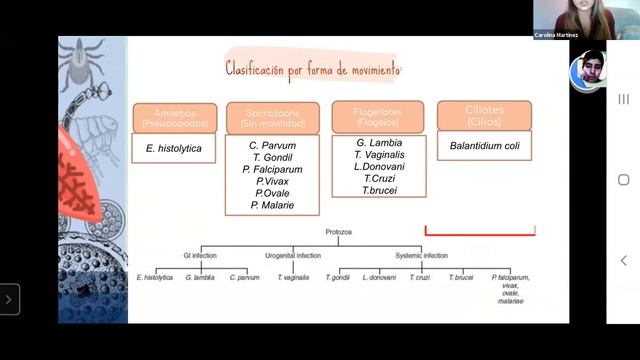 Generalidades de enfermedades parasitarías- Asesorías de parasitología смотреть онлайн