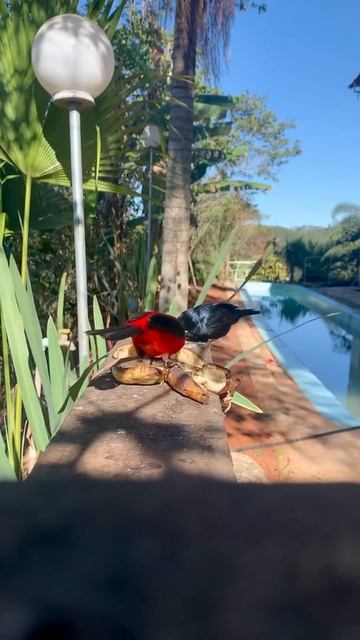 21 de outubro de 2020 смотреть онлайн