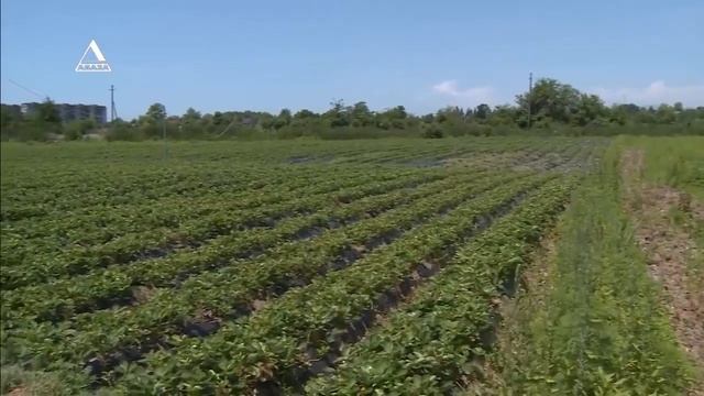 ВРЕМЯ НОВОСТЕЙ от 10 06 2020 смотреть онлайн