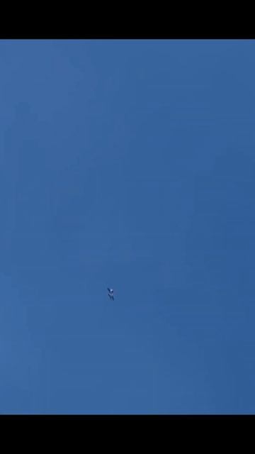 $35000 GIANT RC jet explosion! 🔥🤯 смотреть онлайн