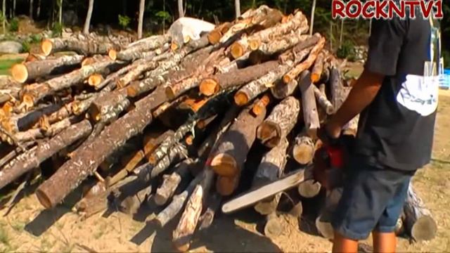 CHAINSAW Craftsman / Poulan Pro 3400 countervibe muffler mod bucking firewood смотреть онлайн