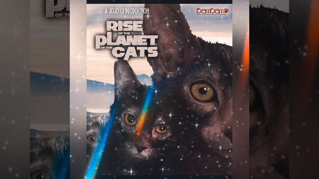 Rise Of The Planet Of The Cats смотреть онлайн